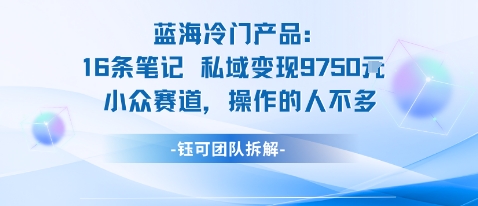 蓝海项目:16条笔记私域变现9750米小众赛道操作的人不多-喜上心头项目超市