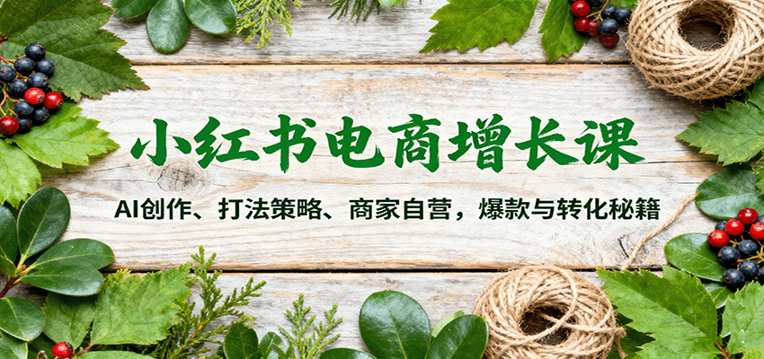 小红书电商增长课：AI创作、打法策略、商家自营，爆款与转化秘籍-喜上心头项目超市