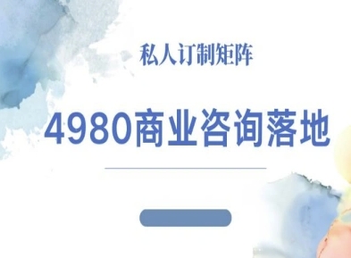 4980商业咨询师落地课程-ip运营高客单教程-喜上心头项目超市