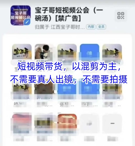 宝子哥头部团队短视频带货，以混剪为主，不需要真人出镜，不需要拍摄【更新9月】-喜上心头项目超市