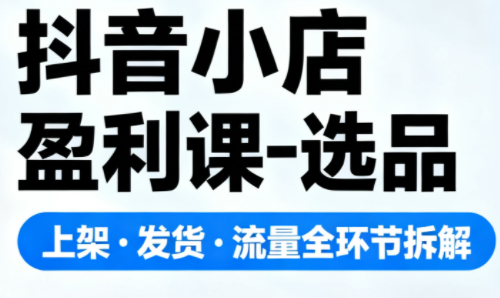 抖音小店盈利课-选品·上架·发货·流量全环节拆解-喜上心头项目超市